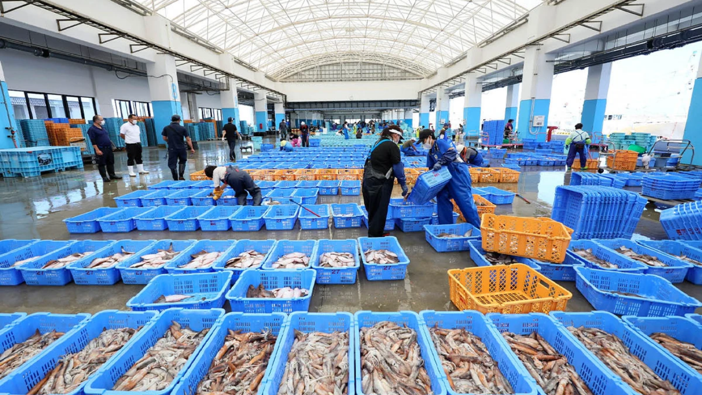 Fresh fish and seafood at a market as Pakistan’s fisheries exports reach USD 125.4 million in the first quarter of the fiscal year.