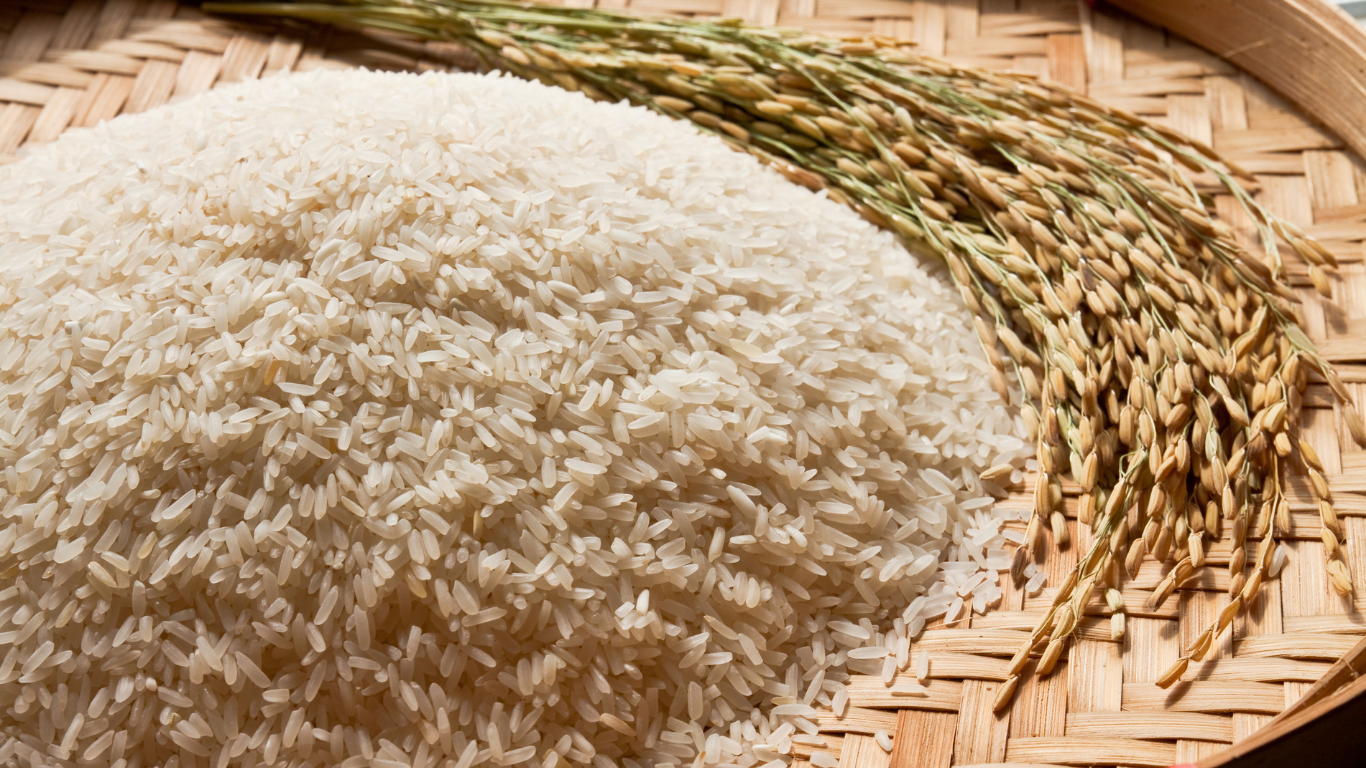Rice grains representing Pakistan’s rice export trade and overseas shipments.